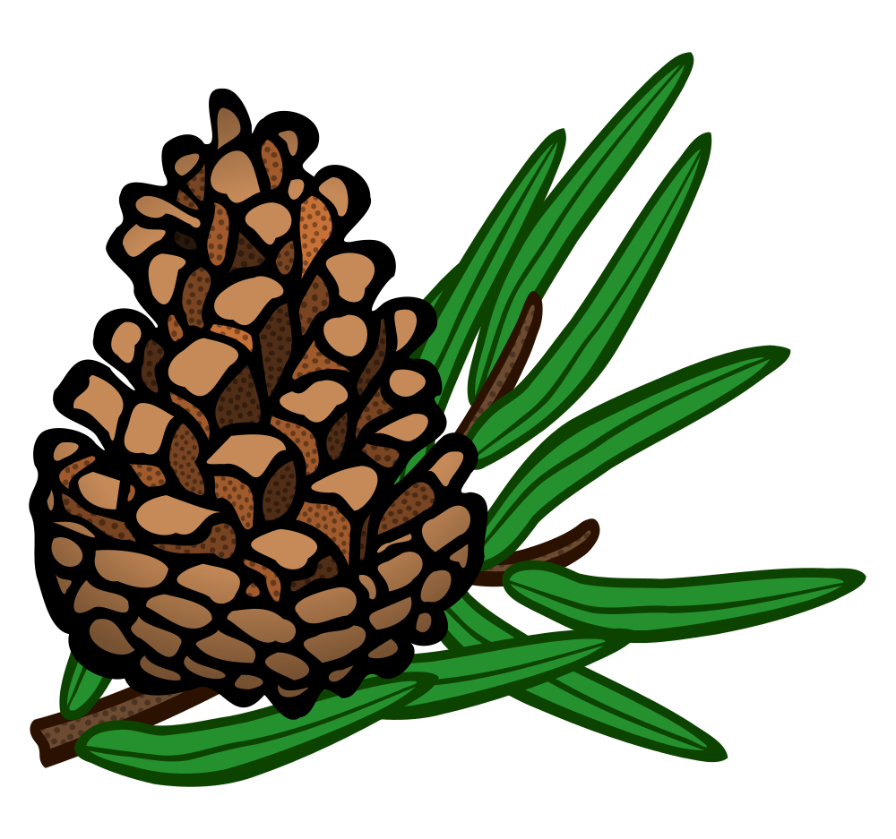 OnlineLabels Clip Art - Conifer Cone - Coloured